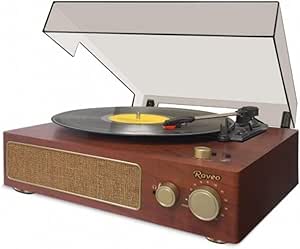 Raveo Studio Maple – Estética vintage e experiência funcional completa